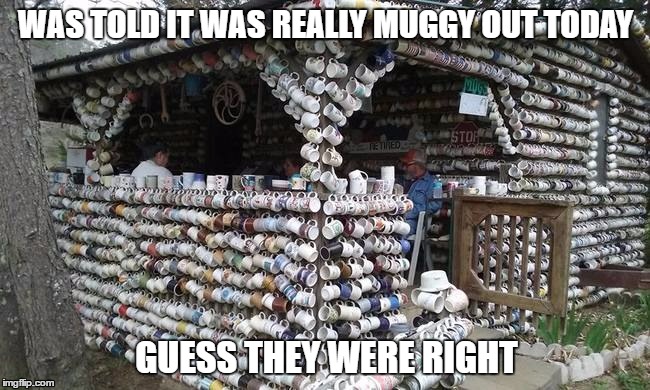house got mugged |  WAS TOLD IT WAS REALLY MUGGY OUT TODAY; GUESS THEY WERE RIGHT | image tagged in mugshot | made w/ Imgflip meme maker