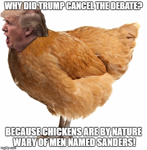 chicken trump | WHY DID TRUMP CANCEL THE DEBATE? BECAUSE CHICKENS ARE BY NATURE WARY OF MEN NAMED SANDERS! | image tagged in chicken,trump,bernie sanders | made w/ Imgflip meme maker
