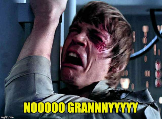 Nooo | NOOOOO GRANNNYYYYY | image tagged in nooo | made w/ Imgflip meme maker