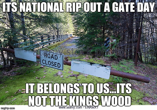 ITS NATIONAL RIP OUT A GATE DAY; IT BELONGS TO US...ITS NOT THE KINGS WOOD | image tagged in kings wood | made w/ Imgflip meme maker