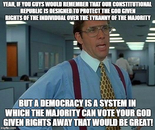 That Would Be Great Meme | YEAH, IF YOU GUYS WOULD REMEMBER THAT OUR CONSTITUTIONAL REPUBLIC IS DESIGNED TO PROTECT THE GOD GIVEN RIGHTS OF THE INDIVIDUAL OVER THE TYRANNY OF THE MAJORITY; BUT A DEMOCRACY IS A SYSTEM IN WHICH THE MAJORITY CAN VOTE YOUR GOD GIVEN RIGHTS AWAY THAT WOULD BE GREAT! | image tagged in memes,that would be great | made w/ Imgflip meme maker