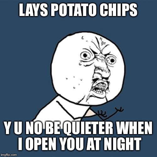 Y U No Meme |  LAYS POTATO CHIPS; Y U NO BE QUIETER WHEN I OPEN YOU AT NIGHT | image tagged in memes,y u no | made w/ Imgflip meme maker