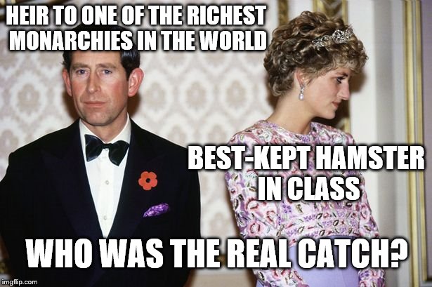 HEIR TO ONE OF THE RICHEST MONARCHIES IN THE WORLD; BEST-KEPT HAMSTER IN CLASS; WHO WAS THE REAL CATCH? | image tagged in charles and diana | made w/ Imgflip meme maker