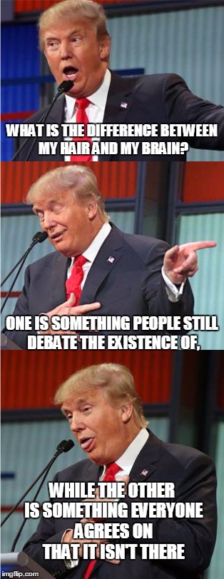 Trump on self-criticism | WHAT IS THE DIFFERENCE BETWEEN MY HAIR AND MY BRAIN? ONE IS SOMETHING PEOPLE STILL DEBATE THE EXISTENCE OF, WHILE THE OTHER IS SOMETHING EVERYONE AGREES ON THAT IT ISN'T THERE | image tagged in bad pun trump,memes,political,bad pun,meme,nevertrump | made w/ Imgflip meme maker