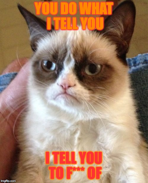 Grumpy Cat Meme | YOU DO WHAT I TELL YOU; I TELL YOU TO F*** OF | image tagged in memes,grumpy cat | made w/ Imgflip meme maker