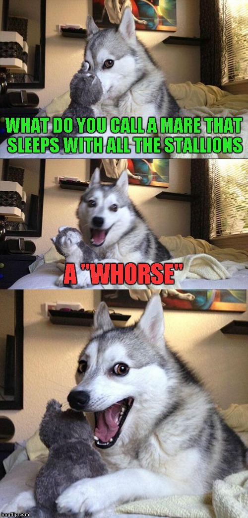 Gotta give some credit to TrollingTroll for using that term in another comment and giving me the idea for this meme. | WHAT DO YOU CALL A MARE THAT SLEEPS WITH ALL THE STALLIONS; A "WHORSE" | image tagged in memes,bad pun dog | made w/ Imgflip meme maker