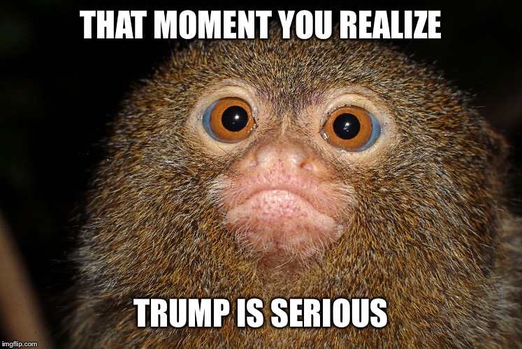 THAT MOMENT YOU REALIZE; TRUMP IS SERIOUS | image tagged in trump is serious | made w/ Imgflip meme maker