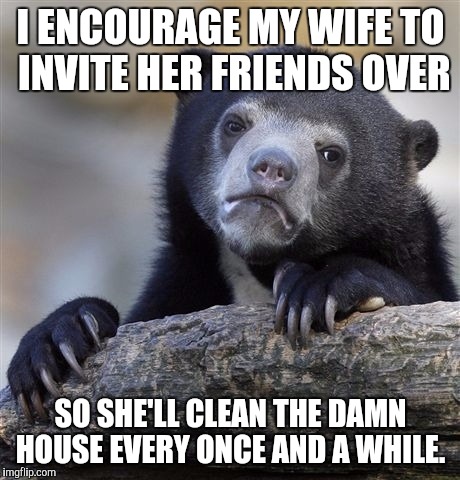 Confession Bear | I ENCOURAGE MY WIFE TO INVITE HER FRIENDS OVER; SO SHE'LL CLEAN THE DAMN HOUSE EVERY ONCE AND A WHILE. | image tagged in memes,confession bear,AdviceAnimals | made w/ Imgflip meme maker