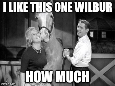 I LIKE THIS ONE WILBUR HOW MUCH | made w/ Imgflip meme maker