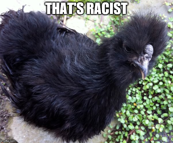 THAT'S RACIST | made w/ Imgflip meme maker