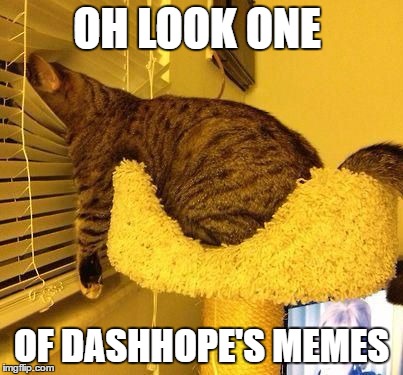 OH LOOK ONE OF DASHHOPE'S MEMES | made w/ Imgflip meme maker