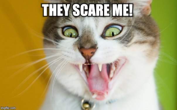 THEY SCARE ME! | made w/ Imgflip meme maker