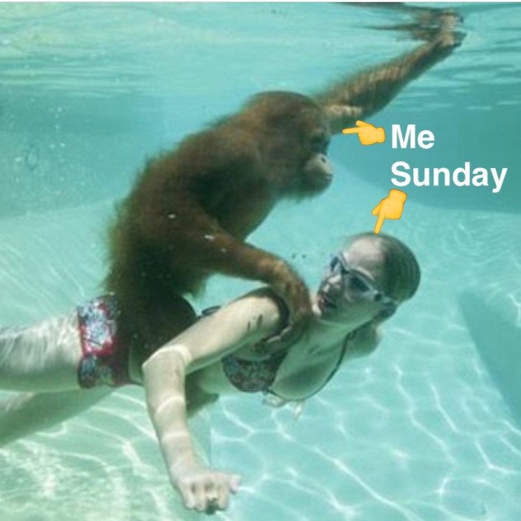 High Quality Sunday Funday Blank Meme Template