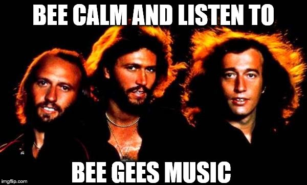 Image result for THE BEEGEES MEME