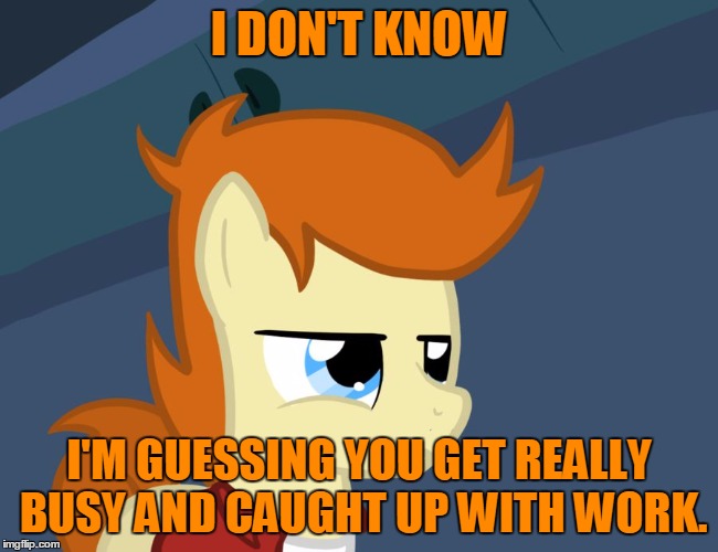 Futurama Fry Pony | I DON'T KNOW I'M GUESSING YOU GET REALLY BUSY AND CAUGHT UP WITH WORK. | image tagged in futurama fry pony | made w/ Imgflip meme maker