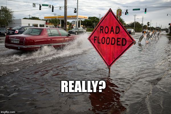 Flooded | REALLY? | image tagged in flooded | made w/ Imgflip meme maker