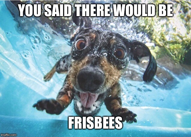 YOU SAID THERE WOULD BE FRISBEES | made w/ Imgflip meme maker