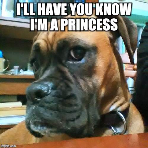 I'LL HAVE YOU KNOW I'M A PRINCESS | made w/ Imgflip meme maker
