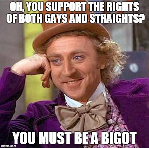 Creepy Condescending Wonka Meme | OH, YOU SUPPORT THE RIGHTS OF BOTH GAYS AND STRAIGHTS? YOU MUST BE A BIGOT | image tagged in memes,creepy condescending wonka | made w/ Imgflip meme maker