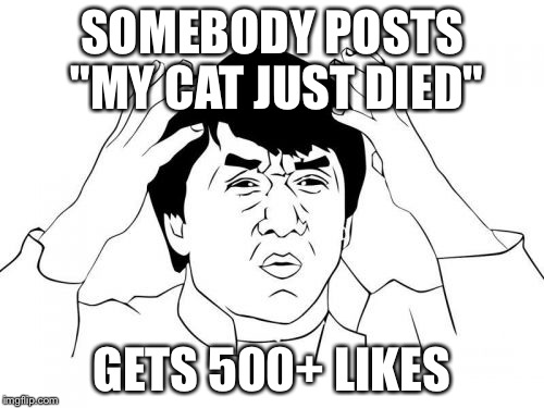 Am I the only one? | SOMEBODY POSTS "MY CAT JUST DIED"; GETS 500+ LIKES | image tagged in memes,jackie chan wtf | made w/ Imgflip meme maker