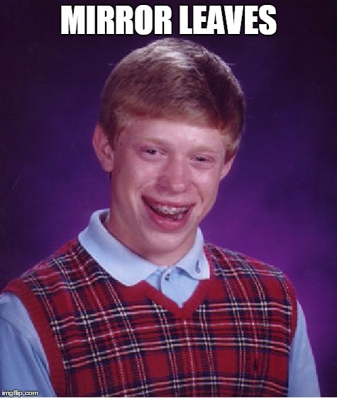 Bad Luck Brian Meme | MIRROR LEAVES | image tagged in memes,bad luck brian | made w/ Imgflip meme maker