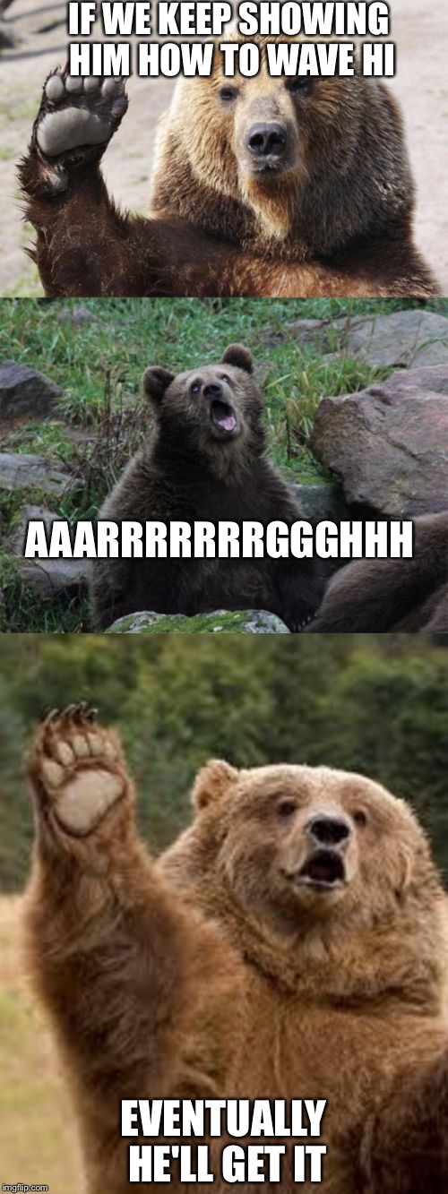 Evolution Proven at Yellowstone Park. | IF WE KEEP SHOWING HIM HOW TO WAVE HI; AAARRRRRRRGGGHHH; EVENTUALLY HE'LL GET IT | image tagged in bad pun bear,memes,funny animals,animals,bear | made w/ Imgflip meme maker