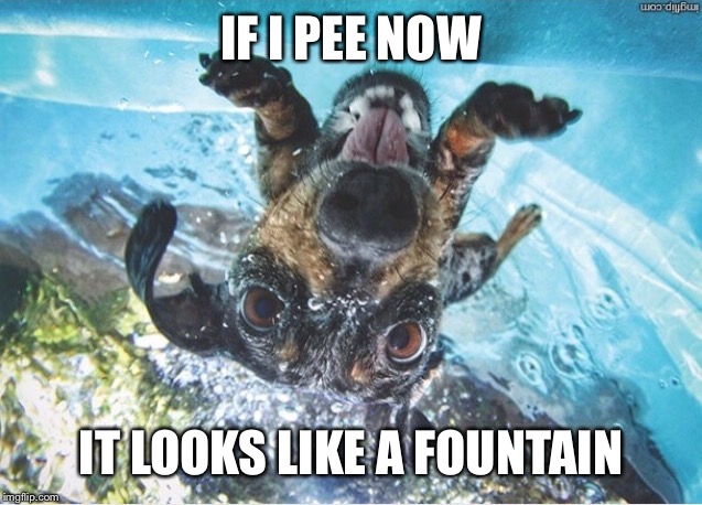 IF I PEE NOW IT LOOKS LIKE A FOUNTAIN | made w/ Imgflip meme maker