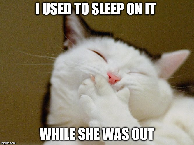 I USED TO SLEEP ON IT WHILE SHE WAS OUT | made w/ Imgflip meme maker