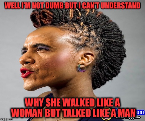 WELL I'M NOT DUMB BUT I CAN'T UNDERSTAND WHY SHE WALKED LIKE A WOMAN BUT TALKED LIKE A MAN | made w/ Imgflip meme maker