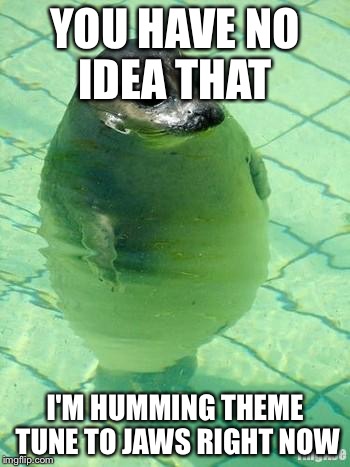 Standing Seal | YOU HAVE NO IDEA THAT; I'M HUMMING THEME TUNE TO JAWS RIGHT NOW | image tagged in standing seal | made w/ Imgflip meme maker