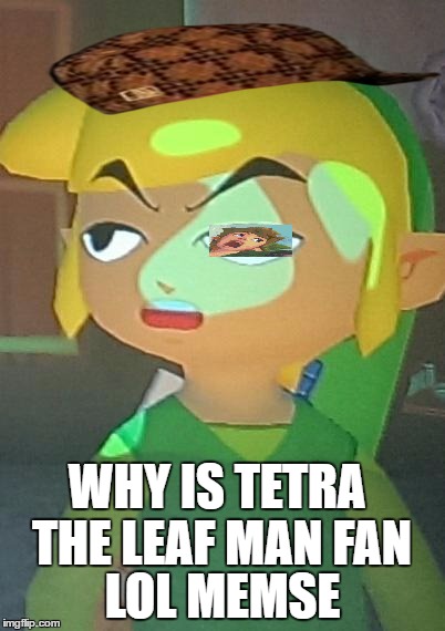 Link is Not Happy With You | LOL MEMSE; WHY IS TETRA THE LEAF MAN FAN | image tagged in link is not happy with you,scumbag | made w/ Imgflip meme maker