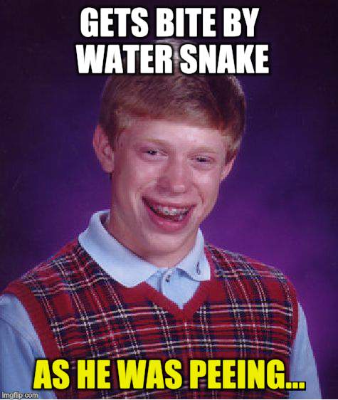 Bad Luck Brian Meme | GETS BITE BY WATER SNAKE AS HE WAS PEEING... | image tagged in memes,bad luck brian | made w/ Imgflip meme maker