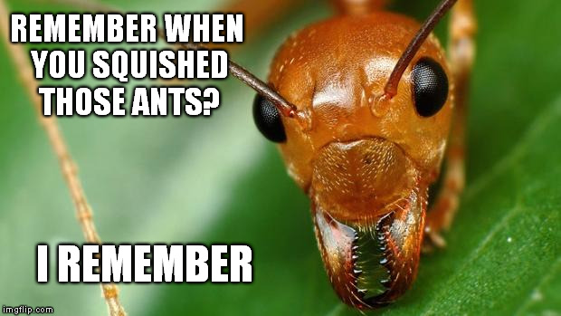 Ants Remember | REMEMBER WHEN YOU SQUISHED THOSE ANTS? I REMEMBER | image tagged in ant remembers,meme,karma,funny | made w/ Imgflip meme maker
