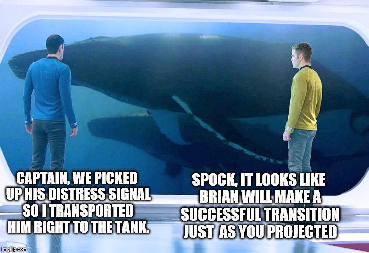 Spock kirk and whales | SPOCK, IT LOOKS LIKE BRIAN WILL MAKE A SUCCESSFUL TRANSITION JUST  AS YOU PROJECTED; CAPTAIN, WE PICKED UP HIS DISTRESS SIGNAL SO I TRANSPORTED HIM RIGHT TO THE TANK. | image tagged in spock kirk and whales | made w/ Imgflip meme maker