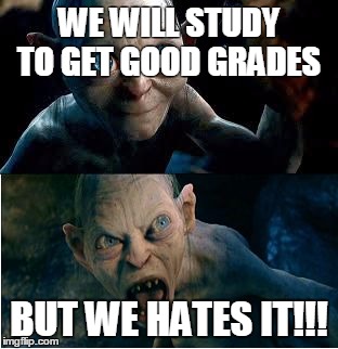 Gollum | WE WILL STUDY TO GET GOOD GRADES; BUT WE HATES IT!!! | image tagged in gollum | made w/ Imgflip meme maker