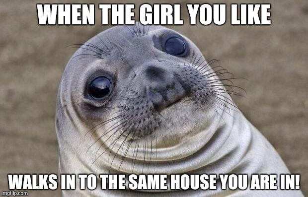 Awkward Moment Sealion Meme | WHEN THE GIRL YOU LIKE; WALKS IN TO THE SAME HOUSE YOU ARE IN! | image tagged in memes,awkward moment sealion | made w/ Imgflip meme maker