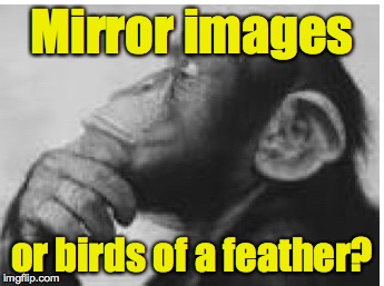 Mirror images or birds of a feather? | made w/ Imgflip meme maker