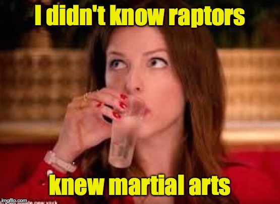 None of Anna's Business | I didn't know raptors knew martial arts | image tagged in none of anna's business | made w/ Imgflip meme maker