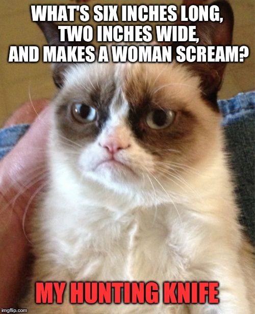 Grumpy cat's had it up to here with the bad puns. | WHAT'S SIX INCHES LONG, TWO INCHES WIDE, AND MAKES A WOMAN SCREAM? MY HUNTING KNIFE | image tagged in memes,grumpy cat,funny,knife | made w/ Imgflip meme maker