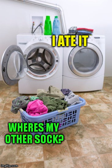 I ATE IT WHERES MY OTHER SOCK? | image tagged in you spin me right around | made w/ Imgflip meme maker