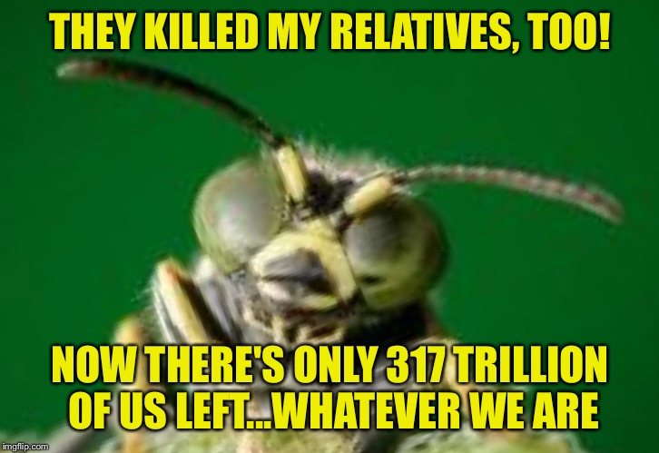 MR GREEN BUG | THEY KILLED MY RELATIVES, TOO! NOW THERE'S ONLY 317 TRILLION OF US LEFT...WHATEVER WE ARE | image tagged in mr green bug | made w/ Imgflip meme maker