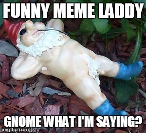 FUNNY MEME LADDY GNOME WHAT I'M SAYING? | made w/ Imgflip meme maker