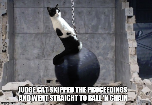 JUDGE CAT SKIPPED THE PROCEEDINGS AND WENT STRAIGHT TO BALL 'N CHAIN | made w/ Imgflip meme maker