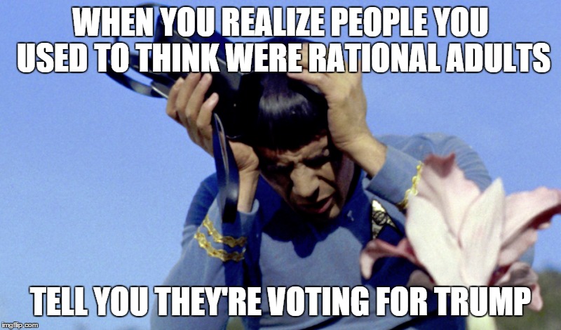 That face you make... | WHEN YOU REALIZE PEOPLE YOU USED TO THINK WERE RATIONAL ADULTS; TELL YOU THEY'RE VOTING FOR TRUMP | image tagged in trump,republicans,election 2016,spock,spock illogical | made w/ Imgflip meme maker