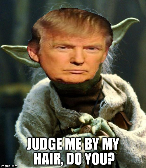 Unemployment leads to poverty, poverty leads to handouts, handouts, lead to socialism! I sense much unemployment in America... | JUDGE ME BY MY HAIR, DO YOU? | image tagged in memes,star wars yoda,donald trump,judging a book by its cover | made w/ Imgflip meme maker