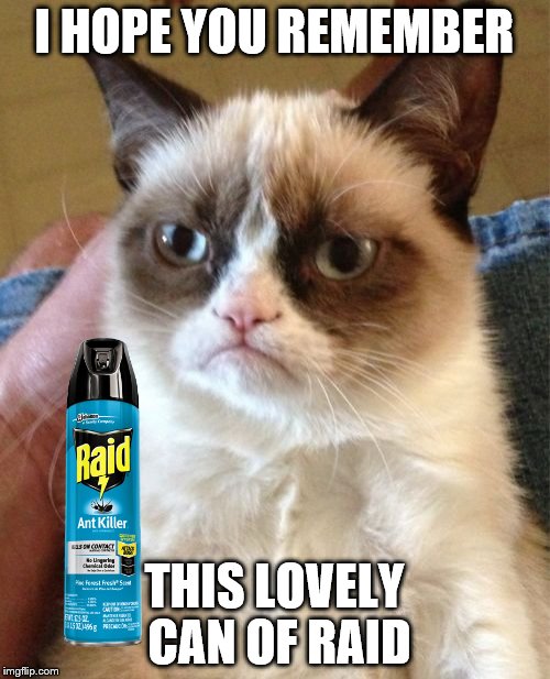 Grumpy Cat Meme | I HOPE YOU REMEMBER THIS LOVELY CAN OF RAID | image tagged in memes,grumpy cat | made w/ Imgflip meme maker
