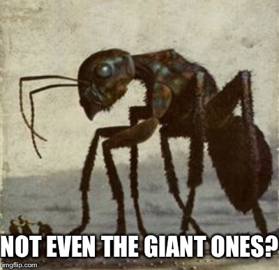 NOT EVEN THE GIANT ONES? | made w/ Imgflip meme maker
