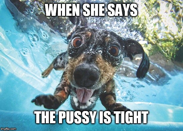 WOMEN BE LIKE | WHEN SHE SAYS THE PUSSY IS TIGHT | image tagged in funny,funny memes,dogs,pets,pussy,memes | made w/ Imgflip meme maker