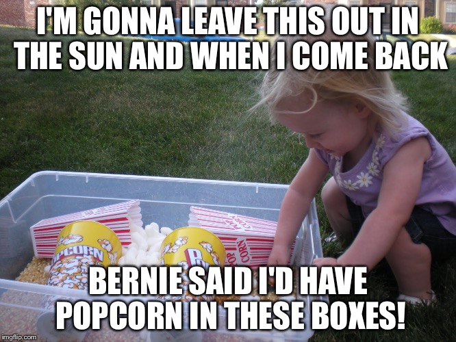 I'M GONNA LEAVE THIS OUT IN THE SUN AND WHEN I COME BACK BERNIE SAID I'D HAVE POPCORN IN THESE BOXES! | made w/ Imgflip meme maker