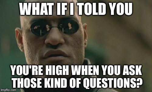 Matrix Morpheus Meme | WHAT IF I TOLD YOU YOU'RE HIGH WHEN YOU ASK THOSE KIND OF QUESTIONS? | image tagged in memes,matrix morpheus | made w/ Imgflip meme maker